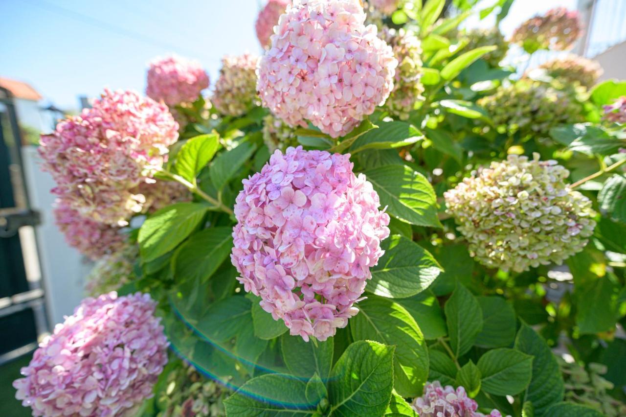Casa Das Hortensias - Charming Guest House シントラ エクステリア 写真
